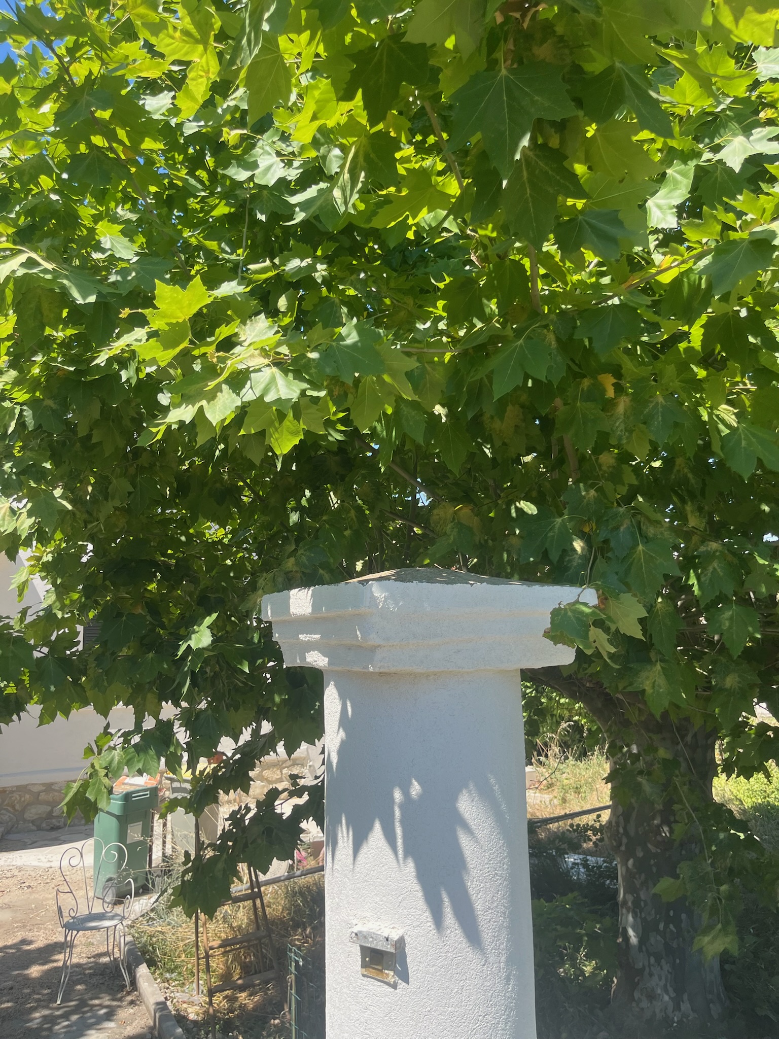 Chantier Yessayan - Photo 19